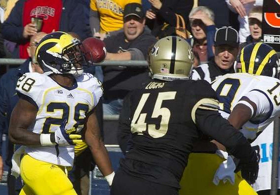 Fitzgerald Toussaint (28) and Devin Funchess (19)