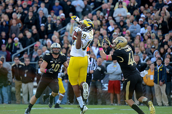 Devin Funchess (19)