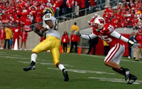 Mario Manningham