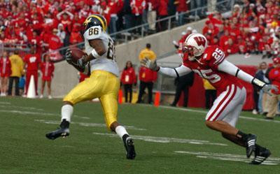 Mario Manningham