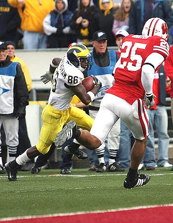 Mario Manningham