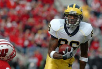 Mario Manningham