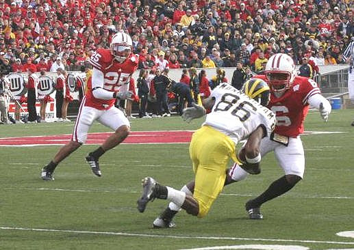 Mario Manningham