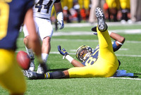 Devin Funchess (87)