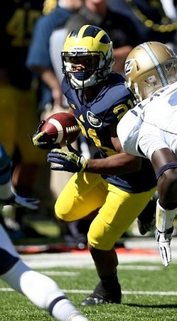 Fitzgerald Toussaint (28)