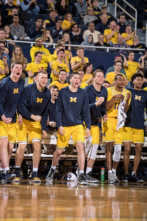 Michigan Team