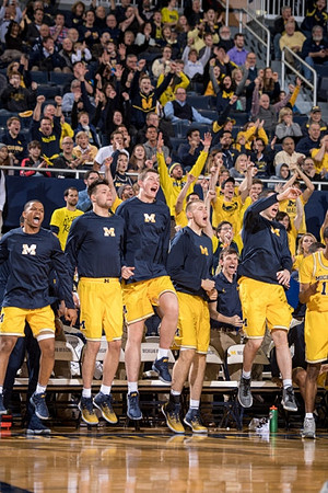 Michigan Team
