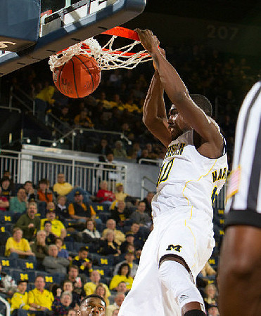 Tim Hardaway Jr. (10)