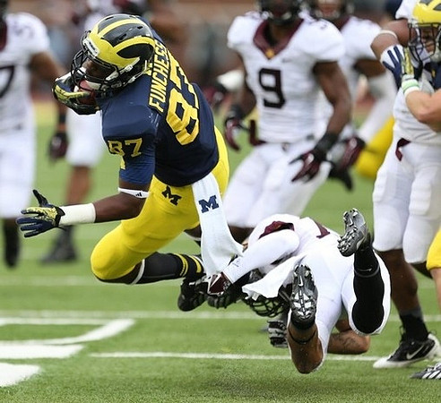 Devin Funchess (87)