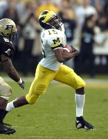 Steve Breaston (15)