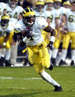 Braylon Edwards (1)