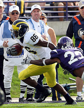 Mario Manningham