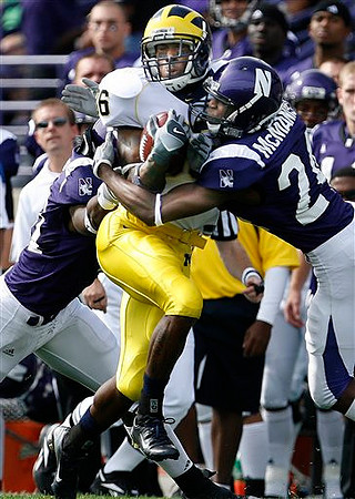 Mario Manningham