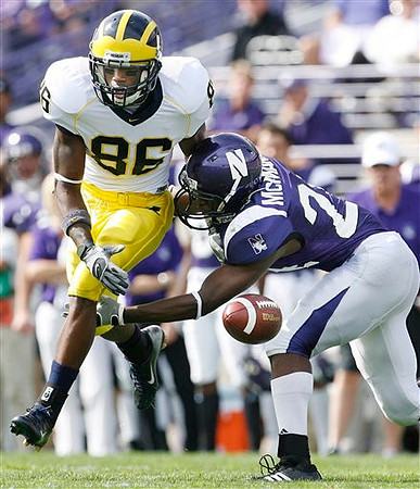 Mario Manningham