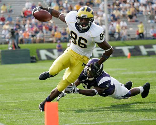 Mario Manningham