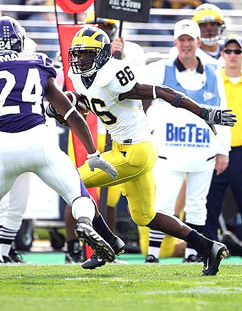 Mario Manningham