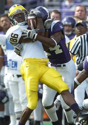 Mario Manningham
