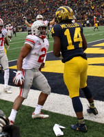 Josh Metellus (14)