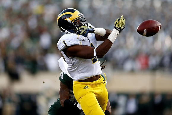 Devin Funchess (1)