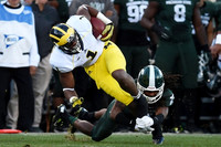 Devin Funchess (1)