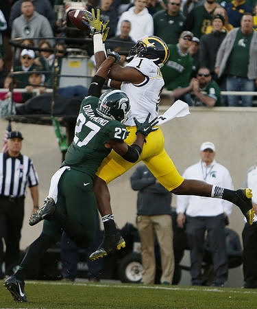 Devin Funchess (1)