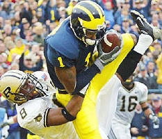 Braylon Edwards (1)