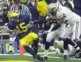 Steve Breaston (15)