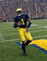Braylon Edwards (1)