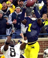 Braylon Edwards (1)