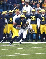 Braylon Edwards (1)