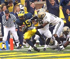 Steve Breaston (15)