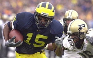Steve Breaston (15)