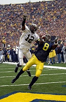 Jason Avant (8)