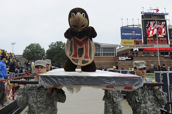 Maryland Mascot