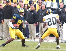 Braylon Edwards (80)