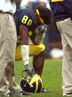 Braylon Edwards (80)