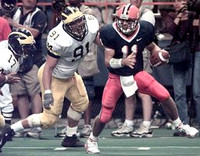 Larry Foote (17) and Josh Williams (91)