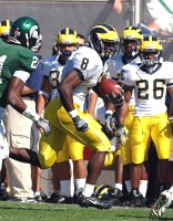 Jason Avant (8)