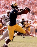 David Terrell (1)