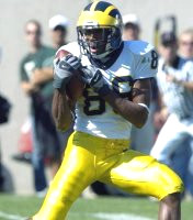 Mario Manningham (86)