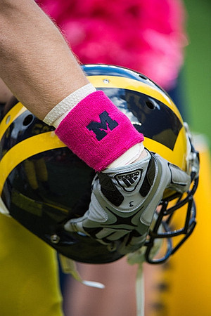Michigan Helmet