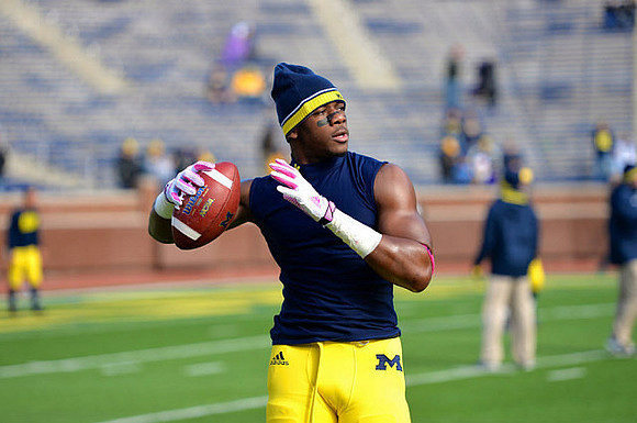 Devin Funchess (1)
