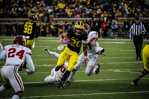 Devin Gardner (98) and Drake Johnson (20)