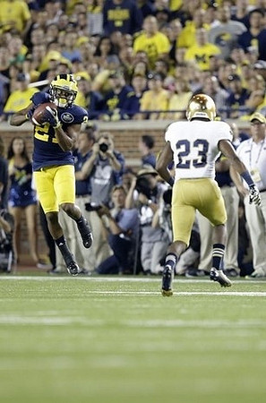Jeremy Gallon (21)
