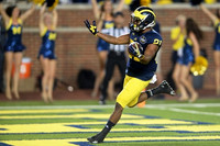 Jeremy Gallon (21)