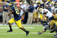 Jeremy Gallon (21)