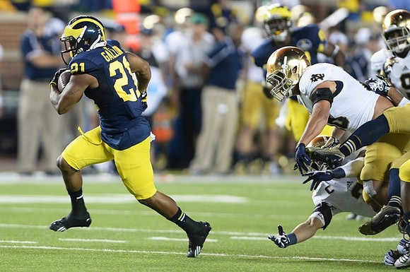 Jeremy Gallon (21)