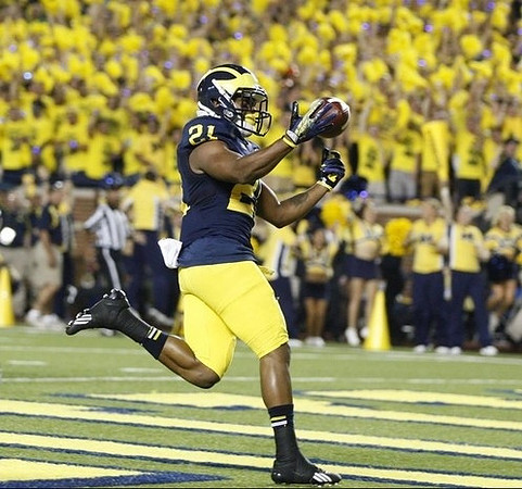 Jeremy Gallon (21)