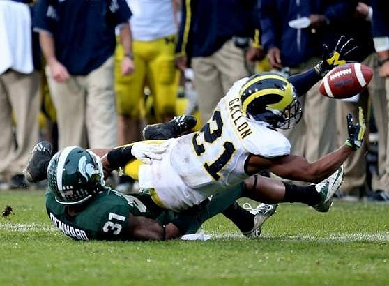 Jeremy Gallon (21)