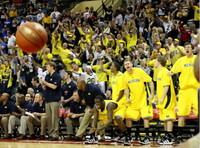 Michigan Team